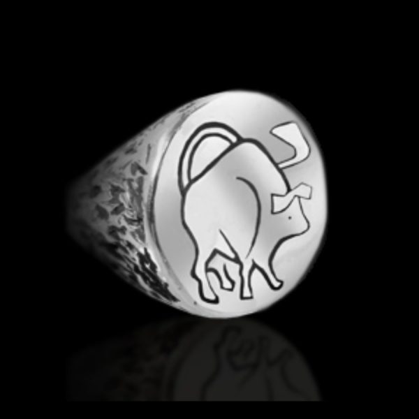 Zodiac Rings and Pendants
